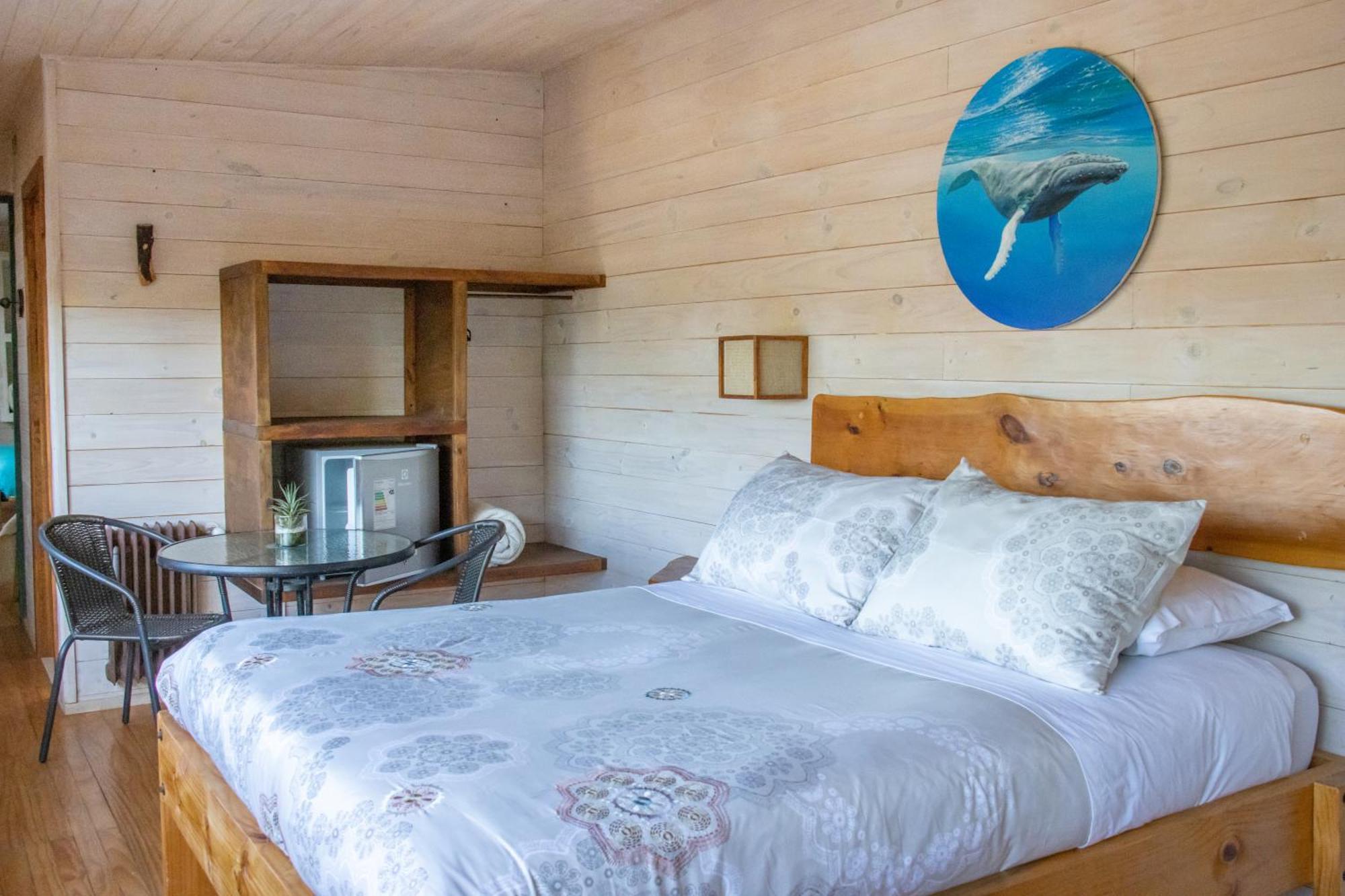 Hostal Sirena Pichilemu Dış mekan fotoğraf